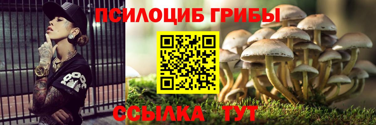 Галлюциногенные грибы прущие грибы Архангельск